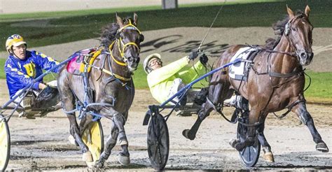 australian harness racing odds|Harness Racing Tips & Previews .